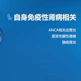 【自身抗体】自身免疫性肾病相关