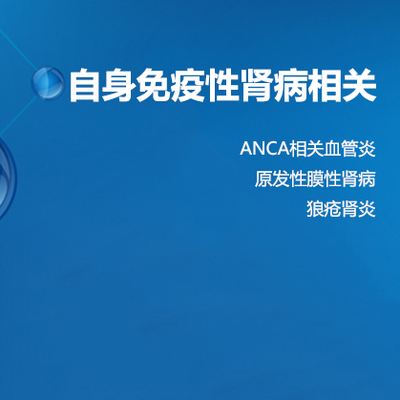 【自身抗体】自身免疫性肾病相关
