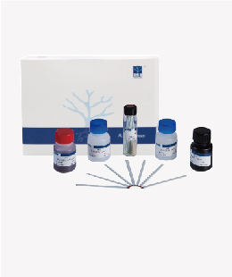 欧博克产品系列