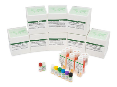 呼吸道病原体检测系列