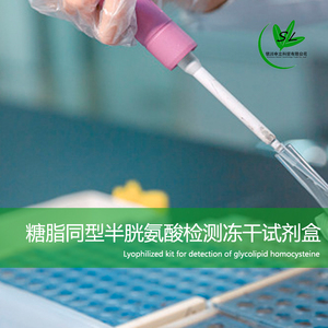 糖脂同型半胱氨酸检测冻干试剂盒
