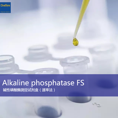 Alkaline phosphatase FS
