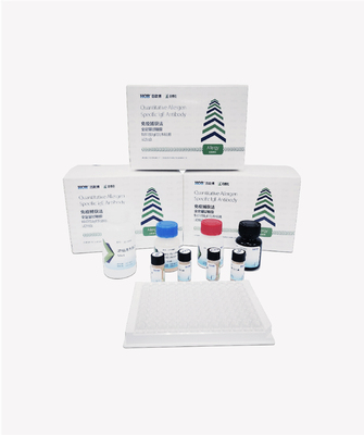 符博克产品系列