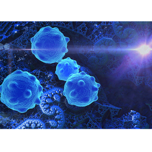 肿瘤标志物（Tumour Markers）