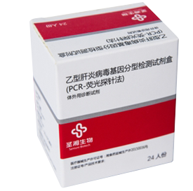 乙型肝炎病毒基因分型检测试剂盒