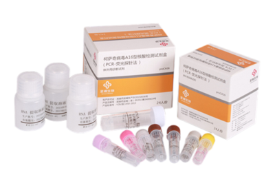柯萨奇病毒A16型核酸检测试剂盒