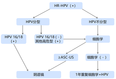 人乳头瘤病毒（13+2）核酸检测试剂盒