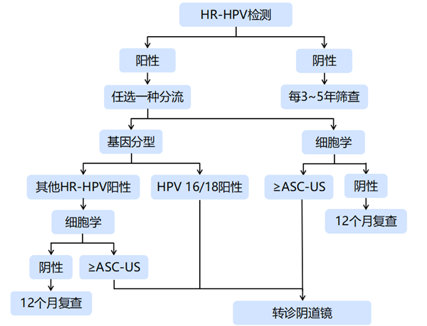 15种高危型人乳头状瘤病毒核酸检测试剂盒