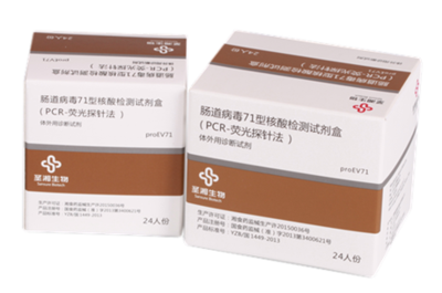 肠道病毒EV71型核酸检测试剂盒