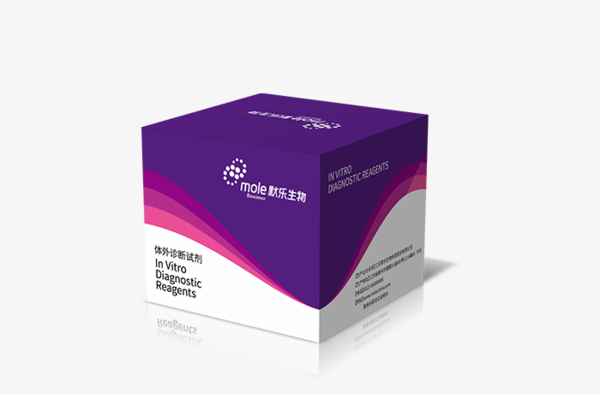 默乐 EB病毒核酸检测试剂盒（荧光定量PCR法）