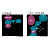 Sysmex XN系列血液分析系统-白细胞篇 (WPC通道)