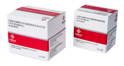 乙型肝炎病毒YMDD基因突变检测试剂盒