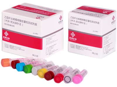 乙型肝炎病毒核酸定量检测试剂盒（高敏 HBV DNA）