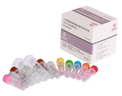 人巨细胞病毒核酸定量检测试剂盒