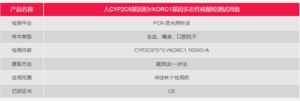 人CYP2C9基因和VKORC1基因多态性核酸检测试剂盒