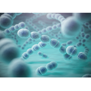 脓毒症（SEPSIS）